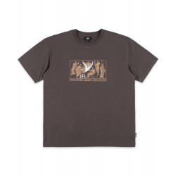 Svane Organic T-Shirt Brown